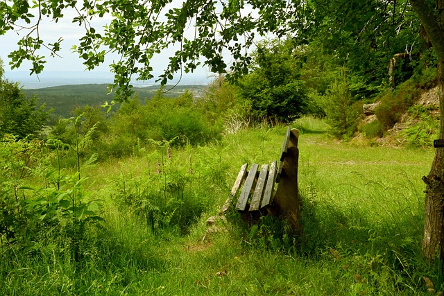 多出现在对 多出现在对
