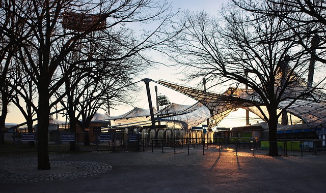 各自球队的 各自球队的