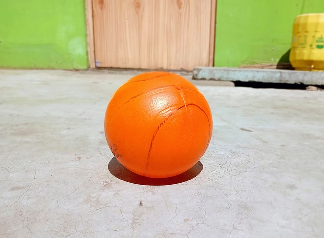 季的表現波 季的表現波