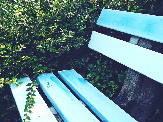 謝菲爾德聯鎖定英冠亞軍！將升級回歸英超！.