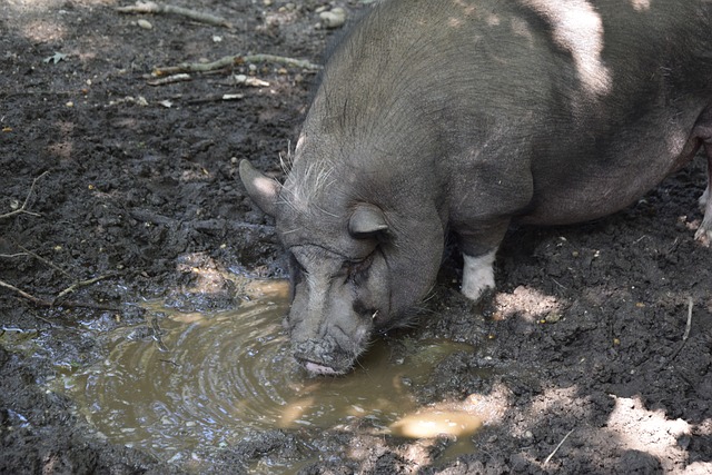 表现值得我 表现值得我