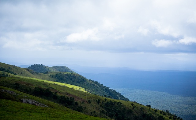 本赛季的皇 本赛季的皇
