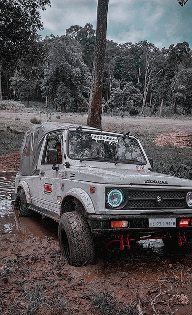 意大利队2024欧洲杯26人大名单：巴雷拉、基耶萨领衔.