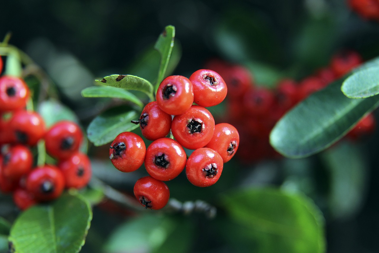 一进一出4亿欧元！皇马酝酿王炸签约！消除内讧，姆巴佩成赢家.