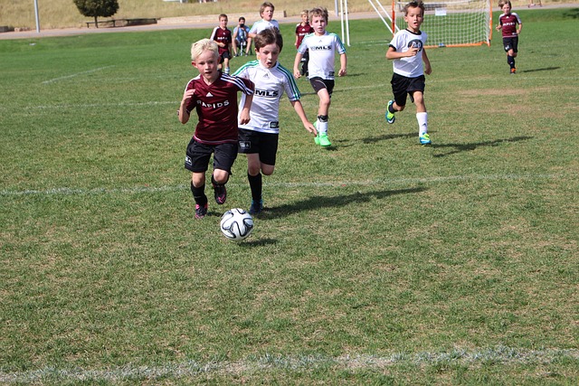 的背后逻辑 的背后逻辑