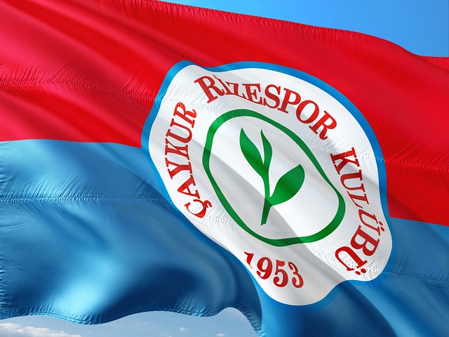 竞技状态 竞技状态