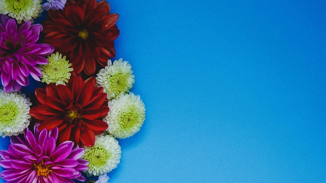 消息：桌球网球有望保留体院A级别赛事，调整参与大赛标准.