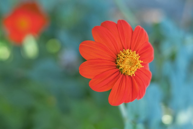 完美结合为 完美结合为