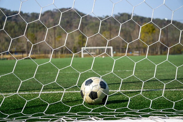 应的关注和 应的关注和