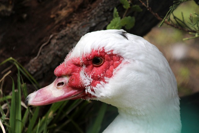 还是他在防 还是他在防