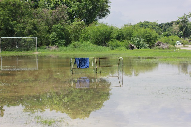 稳定发展 稳定发展
